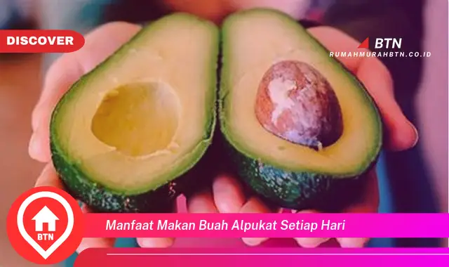 manfaat makan buah alpukat setiap hari