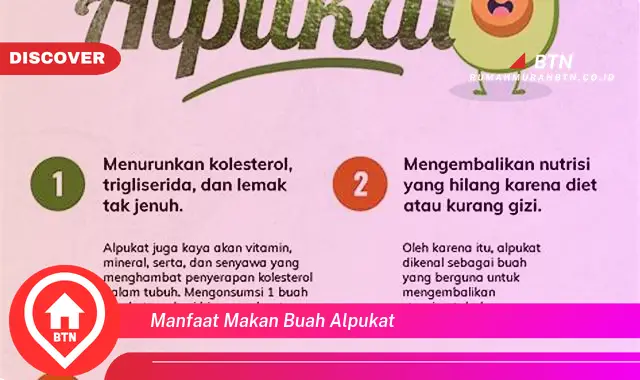 manfaat makan buah alpukat