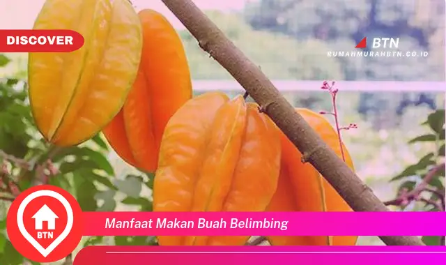 manfaat makan buah belimbing