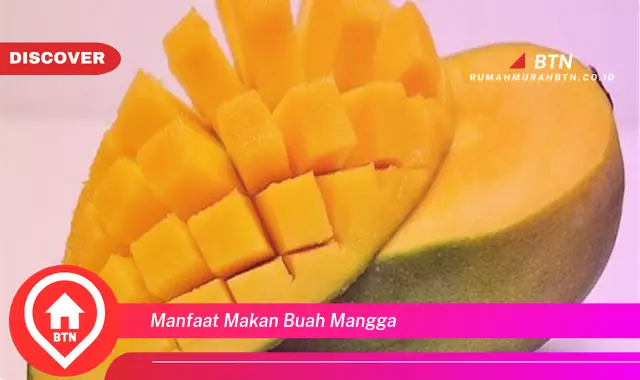 manfaat makan buah mangga