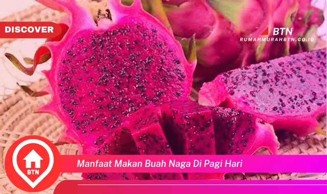 manfaat makan buah naga di pagi hari