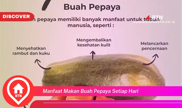 manfaat makan buah pepaya setiap hari