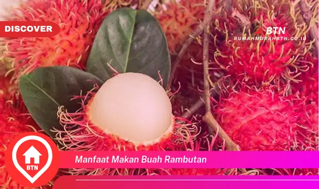 manfaat makan buah rambutan