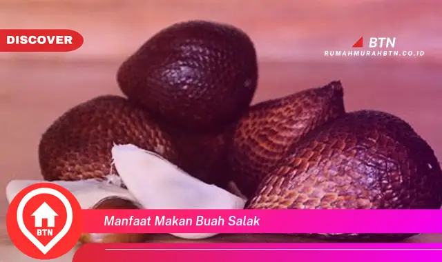 manfaat makan buah salak