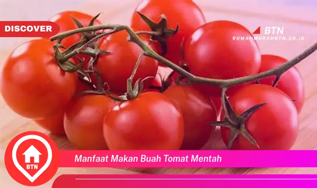 manfaat makan buah tomat mentah