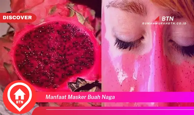 manfaat masker buah naga