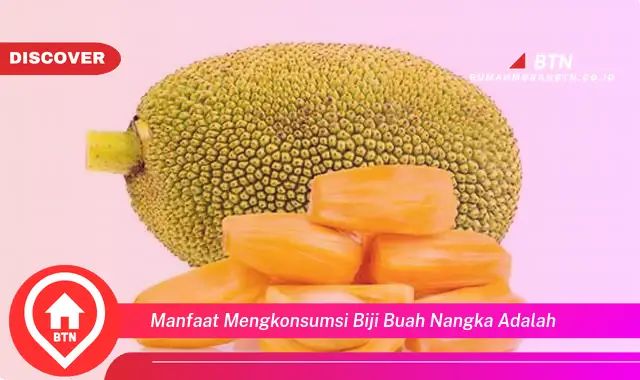 manfaat mengkonsumsi biji buah nangka adalah