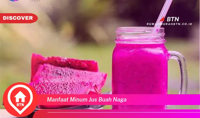 manfaat minum jus buah naga