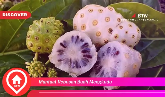 manfaat rebusan buah mengkudu