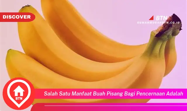 salah satu manfaat buah pisang bagi pencernaan adalah