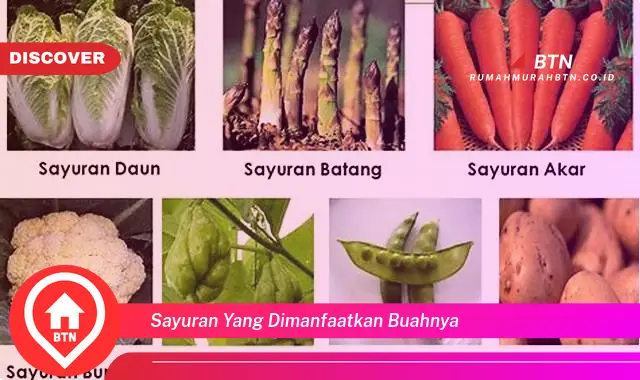 sayuran yang dimanfaatkan buahnya