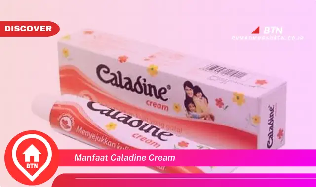 manfaat caladine cream