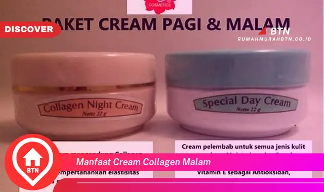 manfaat cream collagen malam