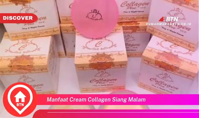 manfaat cream collagen siang malam