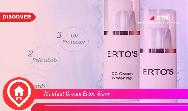 manfaat cream ertos siang