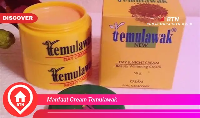 manfaat cream temulawak