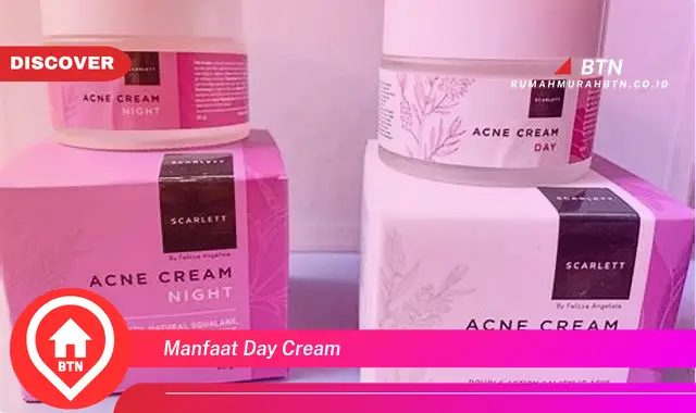 manfaat day cream