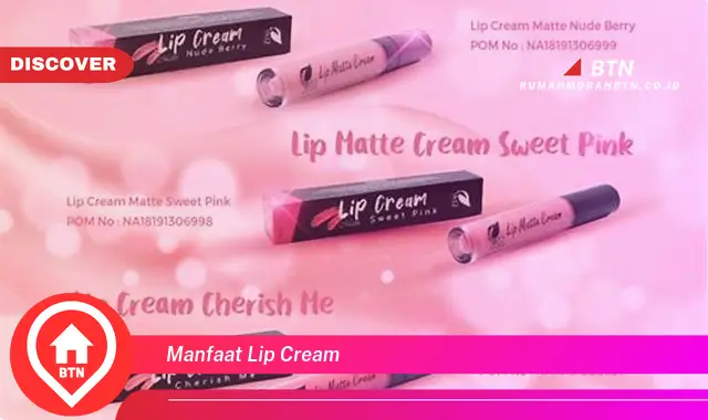 manfaat lip cream