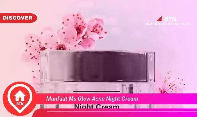 manfaat ms glow acne night cream