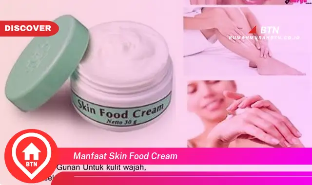 manfaat skin food cream