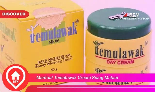 manfaat temulawak cream siang malam