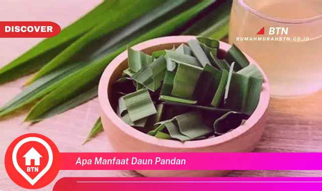 apa manfaat daun pandan