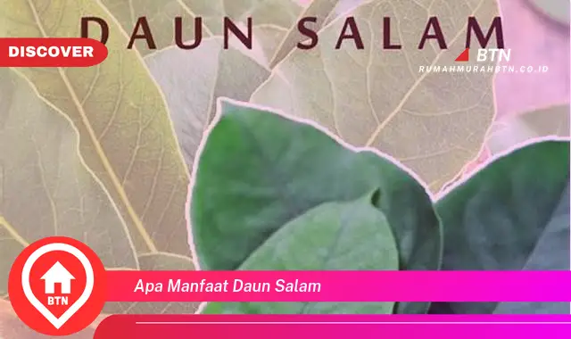 apa manfaat daun salam