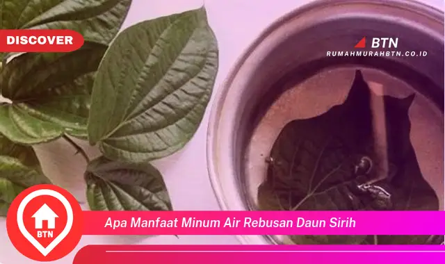 apa manfaat minum air rebusan daun sirih