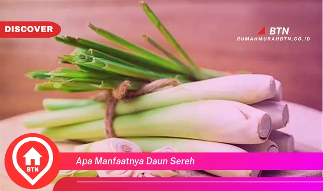 apa manfaatnya daun sereh