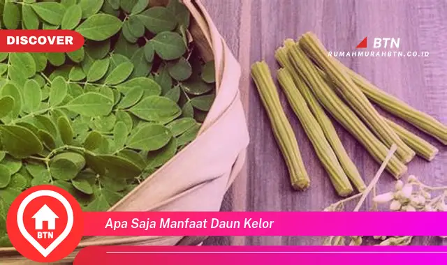 apa saja manfaat daun kelor