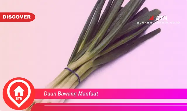 daun bawang manfaat