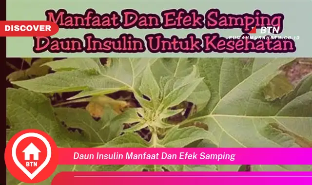 daun insulin manfaat dan efek samping