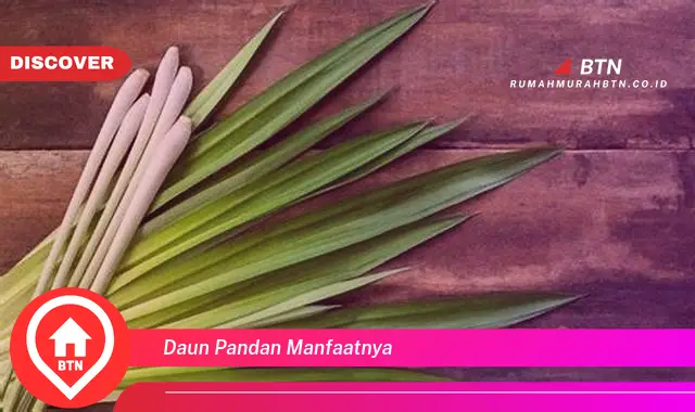 daun pandan manfaatnya