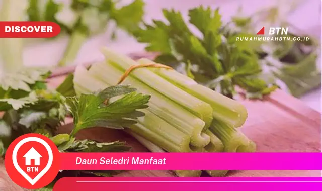 daun seledri manfaat