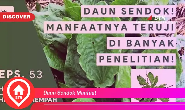 daun sendok manfaat