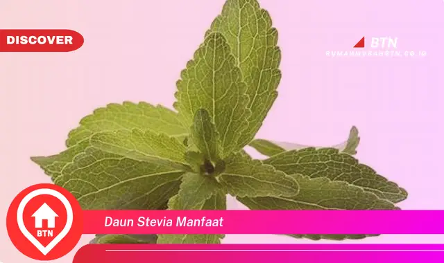 daun stevia manfaat