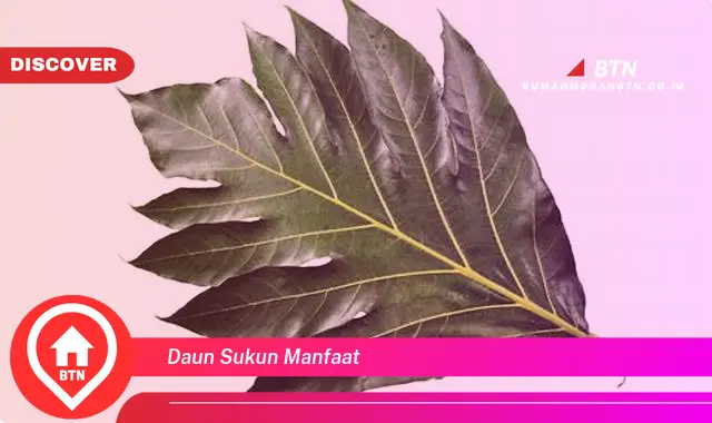 daun sukun manfaat