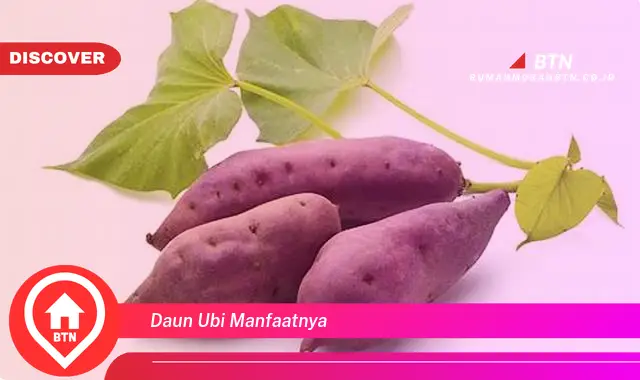 daun ubi manfaatnya