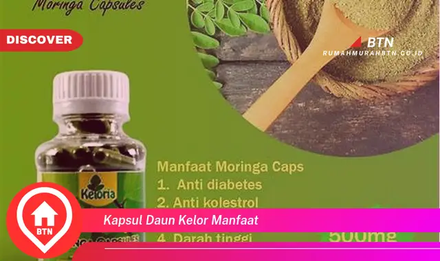 kapsul daun kelor manfaat