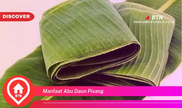 manfaat abu daun pisang