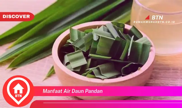 manfaat air daun pandan