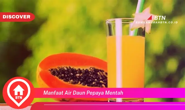 manfaat air daun pepaya mentah