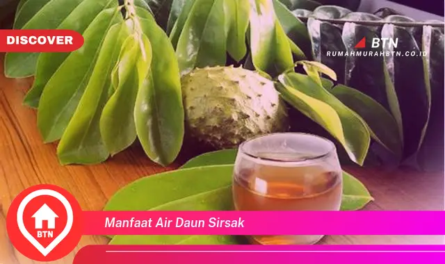 manfaat air daun sirsak