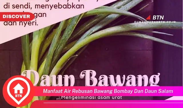 manfaat air rebusan bawang bombay dan daun salam