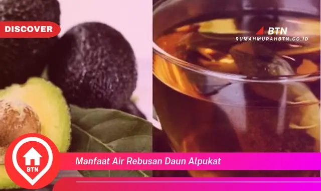 manfaat air rebusan daun alpukat