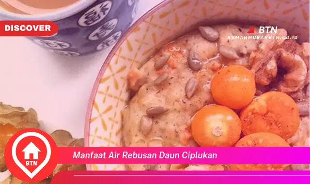 manfaat air rebusan daun ciplukan