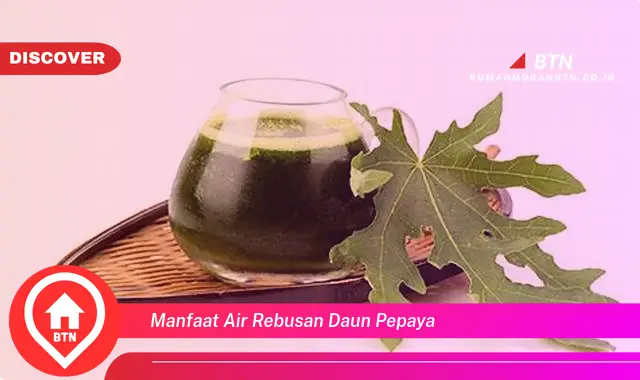 manfaat air rebusan daun pepaya