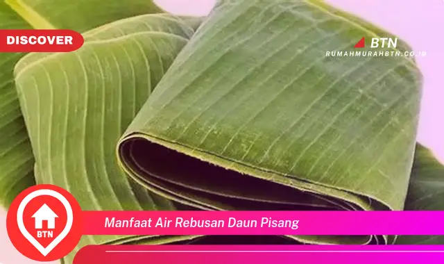 manfaat air rebusan daun pisang