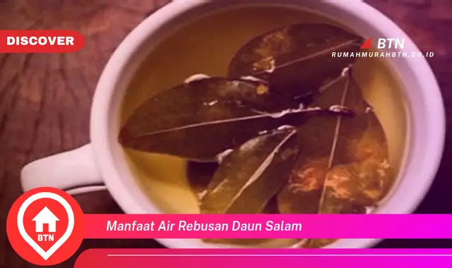 manfaat air rebusan daun salam