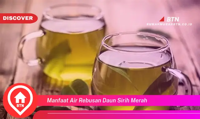 manfaat air rebusan daun sirih merah